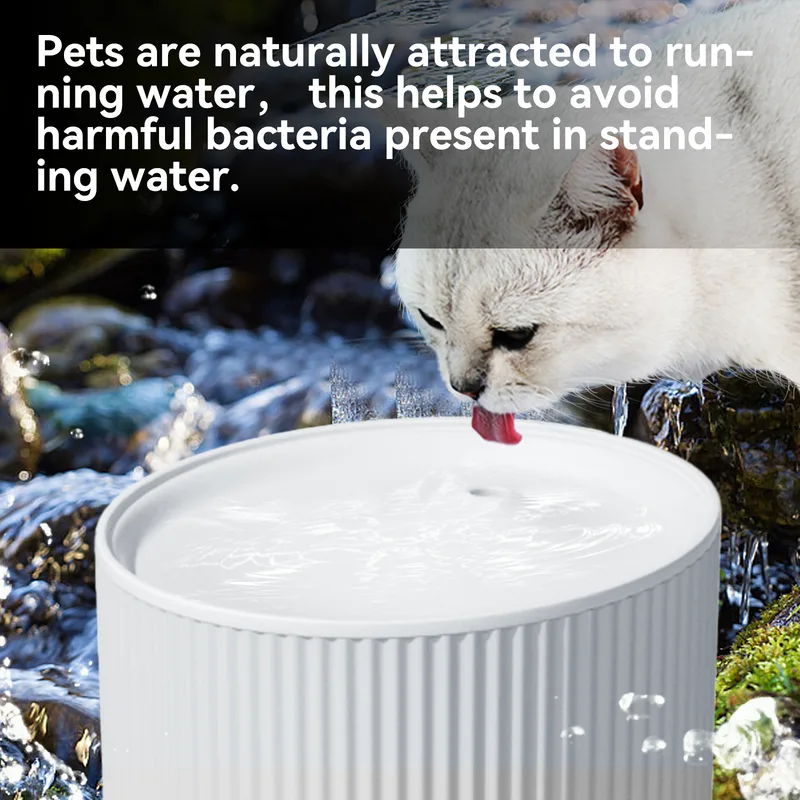 Ultra Silent Cat Water Fountain 67oz/2L Carbon Filter for Cats Small Dogs