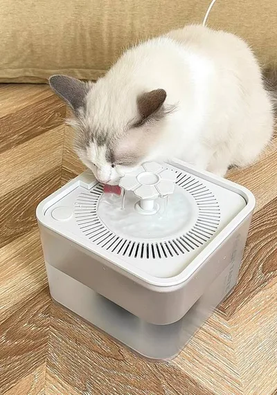 Custom LOGO Smart Automatic Pet Water Fountain 2.5L Intelligent Sensor with Filter
