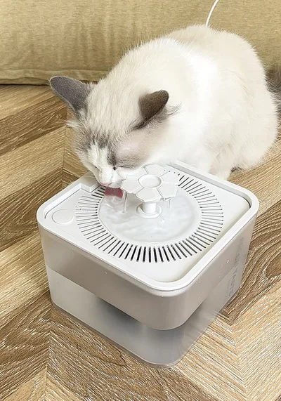 Custom LOGO Smart Automatic Pet Water Fountain 2.5L Intelligent Sensor with Filter