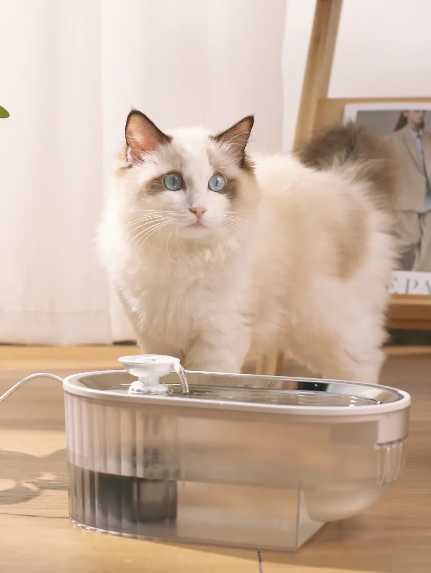 Wireless Automatic Pet Water Fountain 2.5L 2200mAh Rechargeable Infrared Sensor - detail