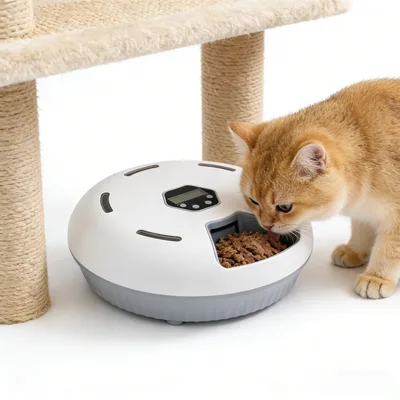 Fresh Meals for Pets: F13-L & F13-W Wet Food Feeders for Retail