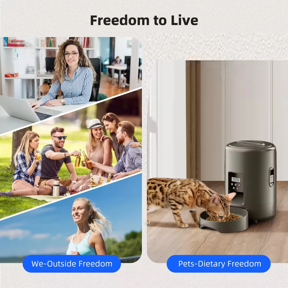 2L Smart Pet Feeder Auto Cat Food Dispenser Dry Food Bowl Button Control - detail