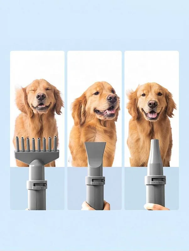 Pet Hair Blower Dryer 2000W Dog Grooming Dryer 3 Nozzles Adjustable Wind