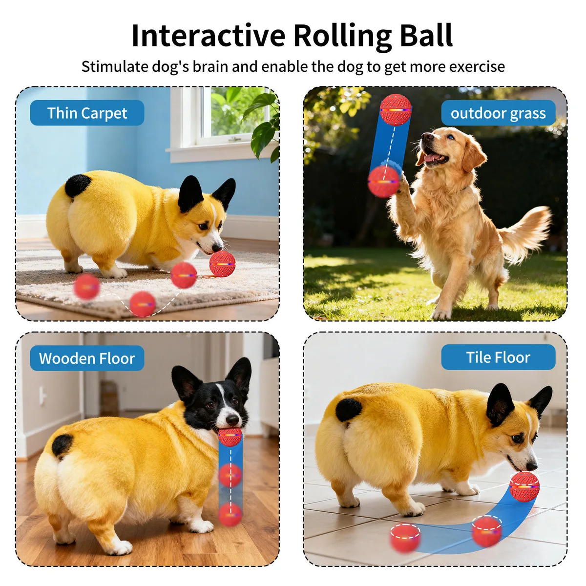 Smart Pet Toy Rolling Ball Motion Activated Rechargeable ETPU with Remote