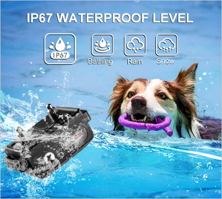 Dog Training Collar Rechargeable Waterproof 1000m Remote Electric Shock - detail