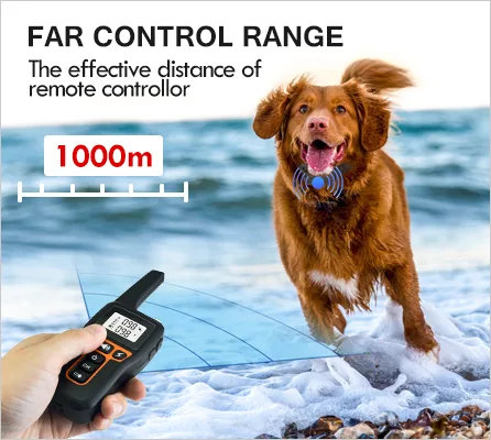 Dog Training Collar Rechargeable Waterproof 1000m Remote Electric Shock - detail