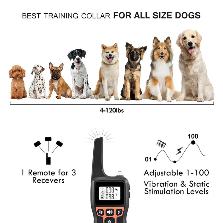 Dog Training Collar Rechargeable Waterproof 1000m Remote Electric Shock